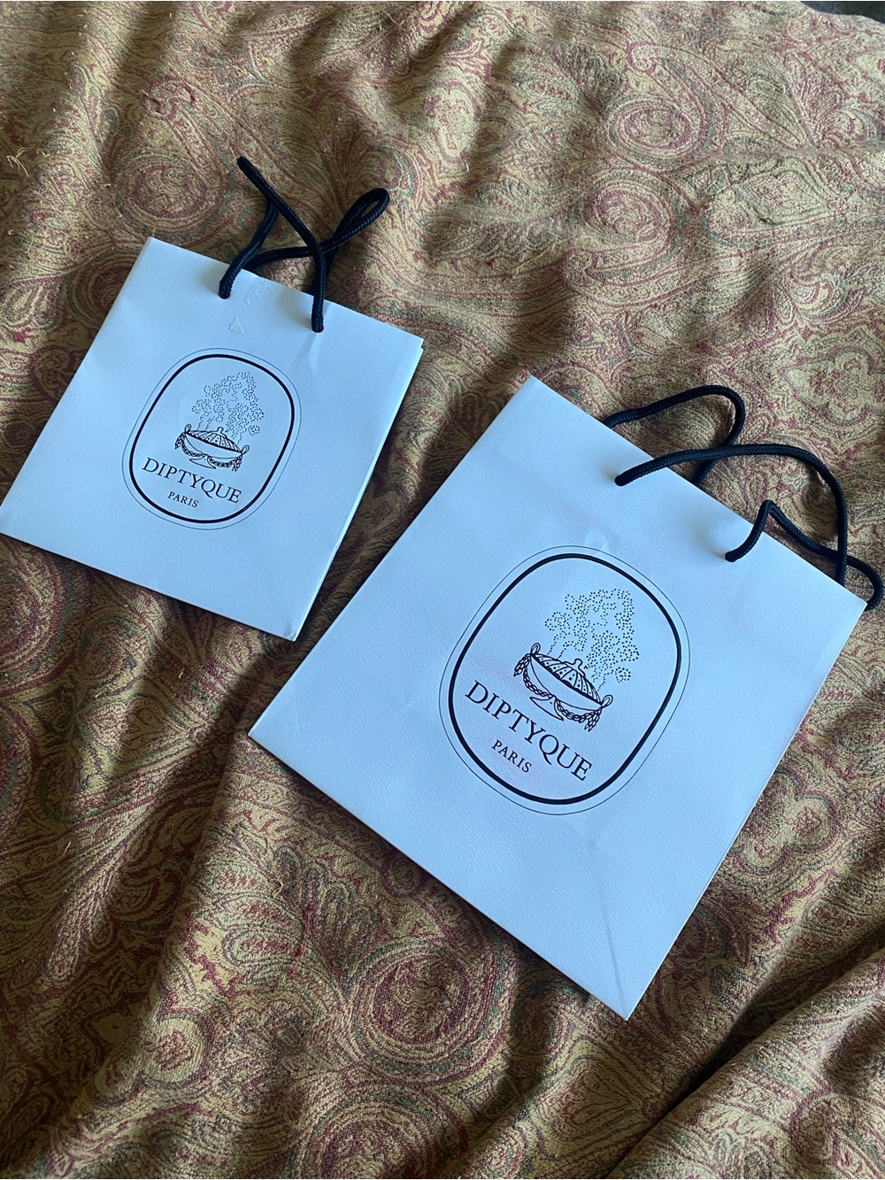 Diptyque shopping bags lot of 2
